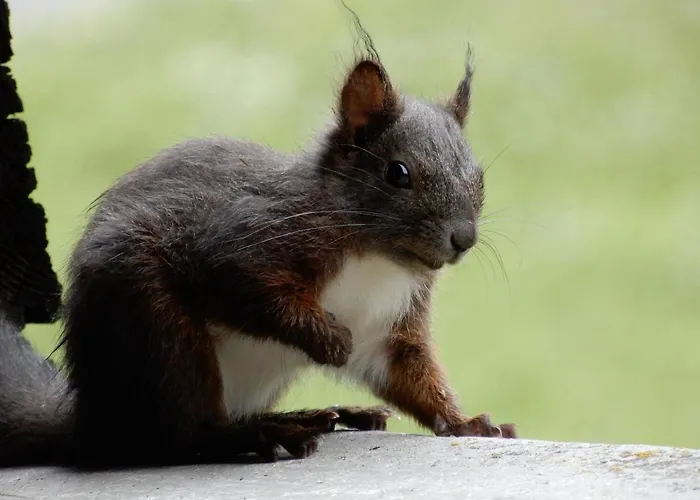 Mezzaprada 酒店 2*